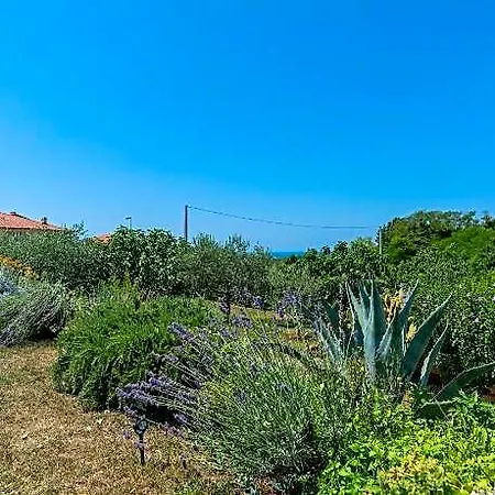 Leandra Comfortable Hotel Novigrad (Istria)