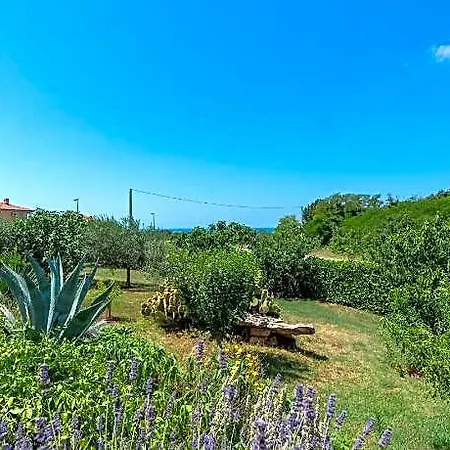 Hotel Leandra Comfortable Novigrad (Istria)
