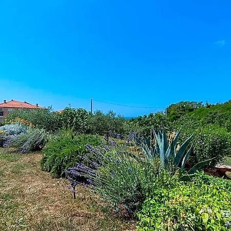 Leandra Comfortable Hotel Novigrad Istria